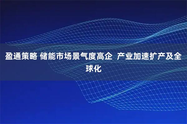 盈通策略 储能市场景气度高企  产业加速扩产及全球化