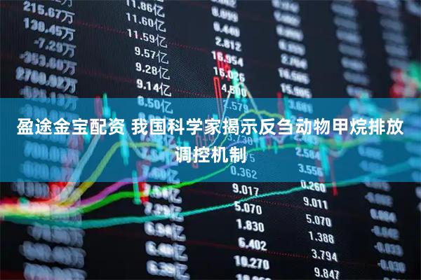 盈途金宝配资 我国科学家揭示反刍动物甲烷排放调控机制